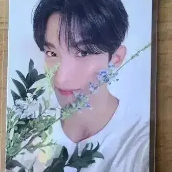 세븐틴 캐럿반 랜포(도겸)