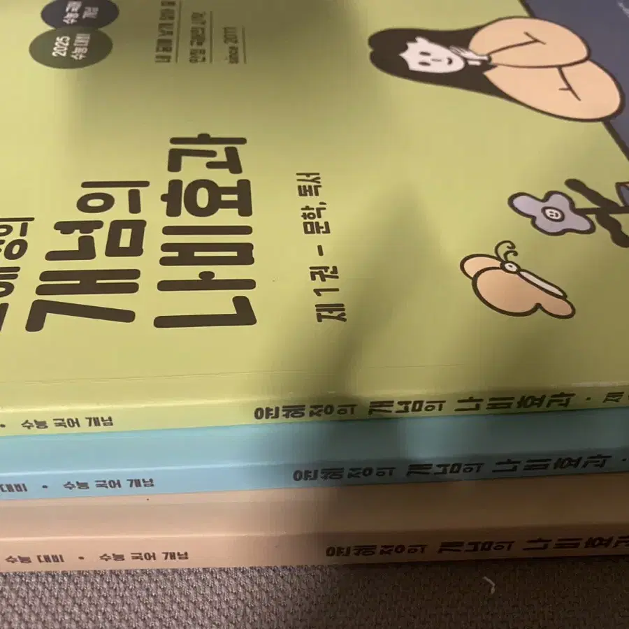 ( 일괄 반택포 ) 새상품 윤혜정 윤나비 개념의 나비효과 언매 문학 독서