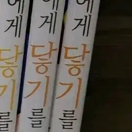 너에게 닿기를 만화책 (12, 13권)