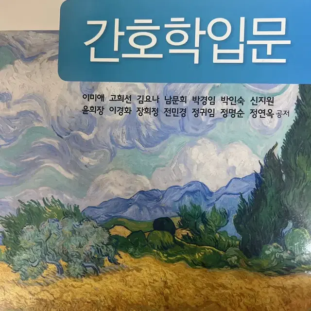 간호학입문