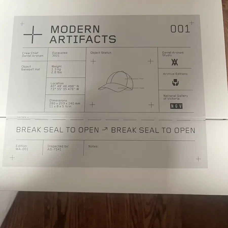 다니엘 아샴 Daniel Arsham NGV Modern Artifact