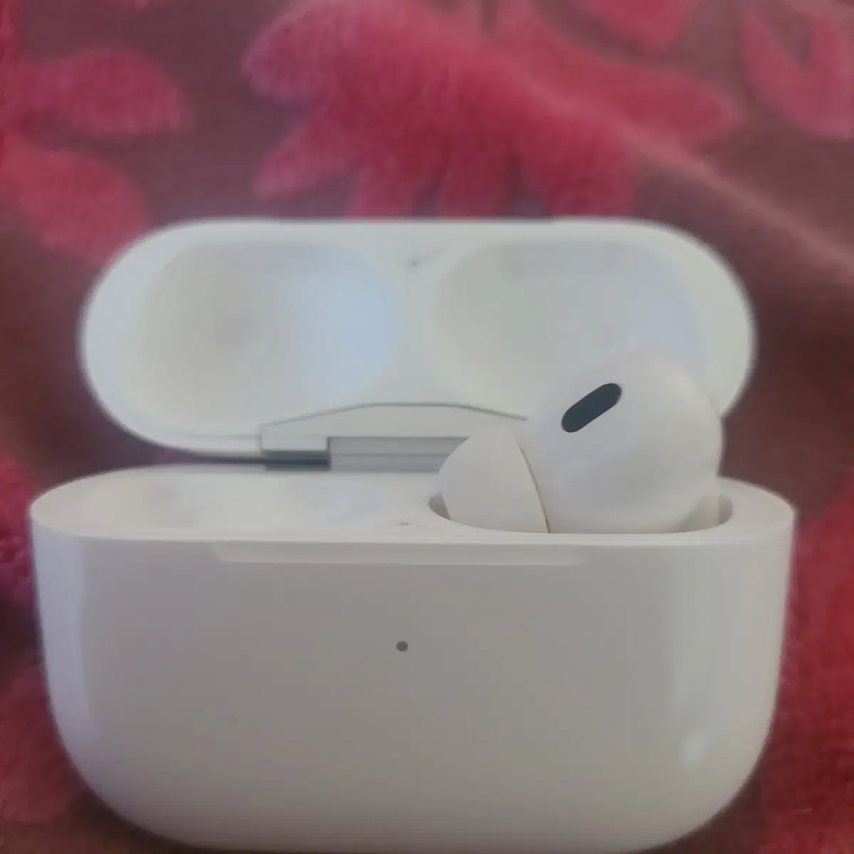 AirPods Pro 2 Main Body