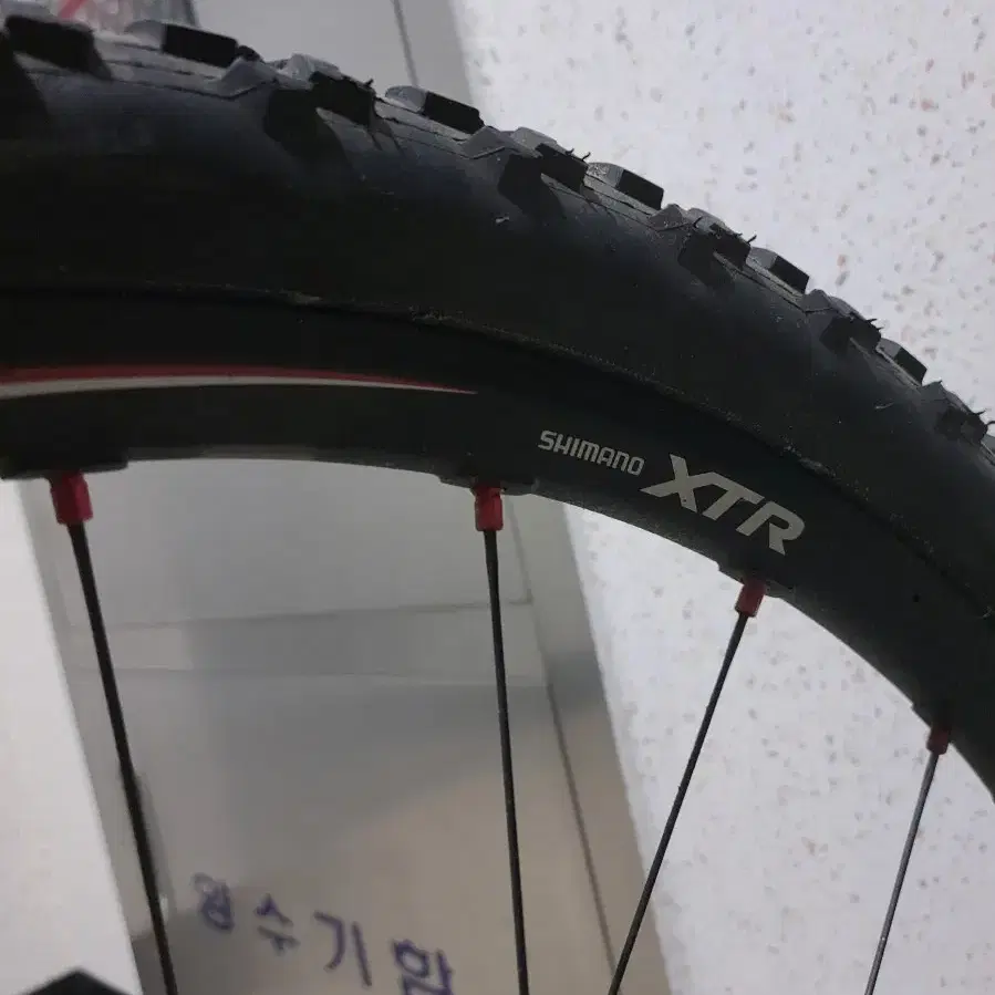 휠러 젠스타팀 풀 XTR 티타늄 MTB