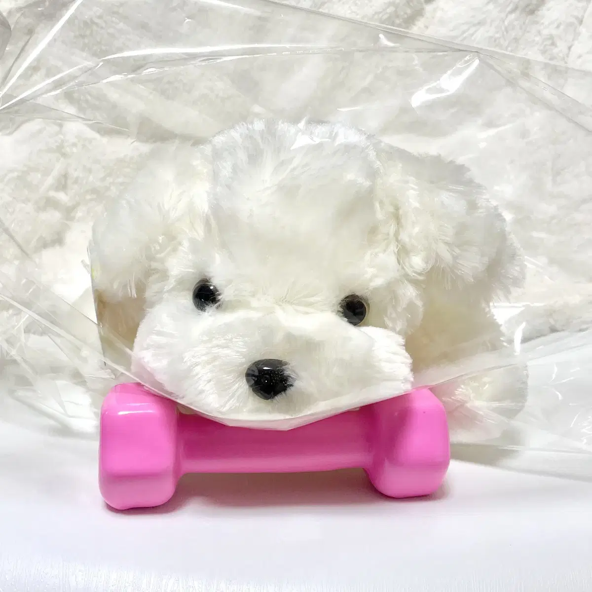 NEW)Maltipoo Ringdog ST Puppy Attachment doll Maltese fansign item