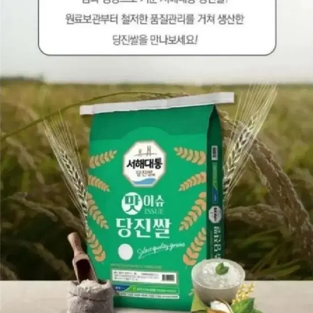 23년 햅쌀 농협 당진쌀 10kg 쌀 상등급