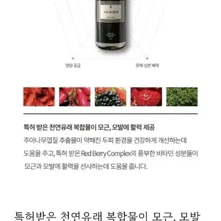 준오헤어 탈모 천연 샴푸/새상품 600ml