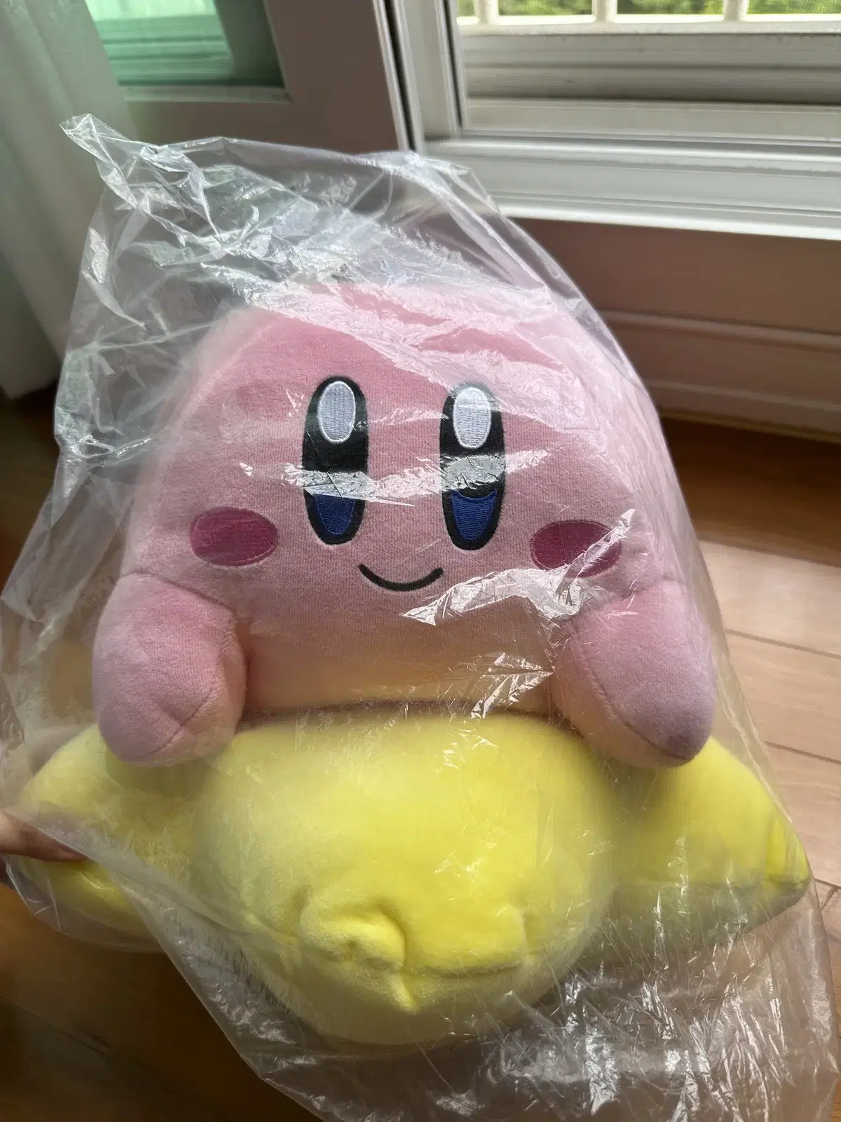 Kirby's 30th Anniversary doll unsealed