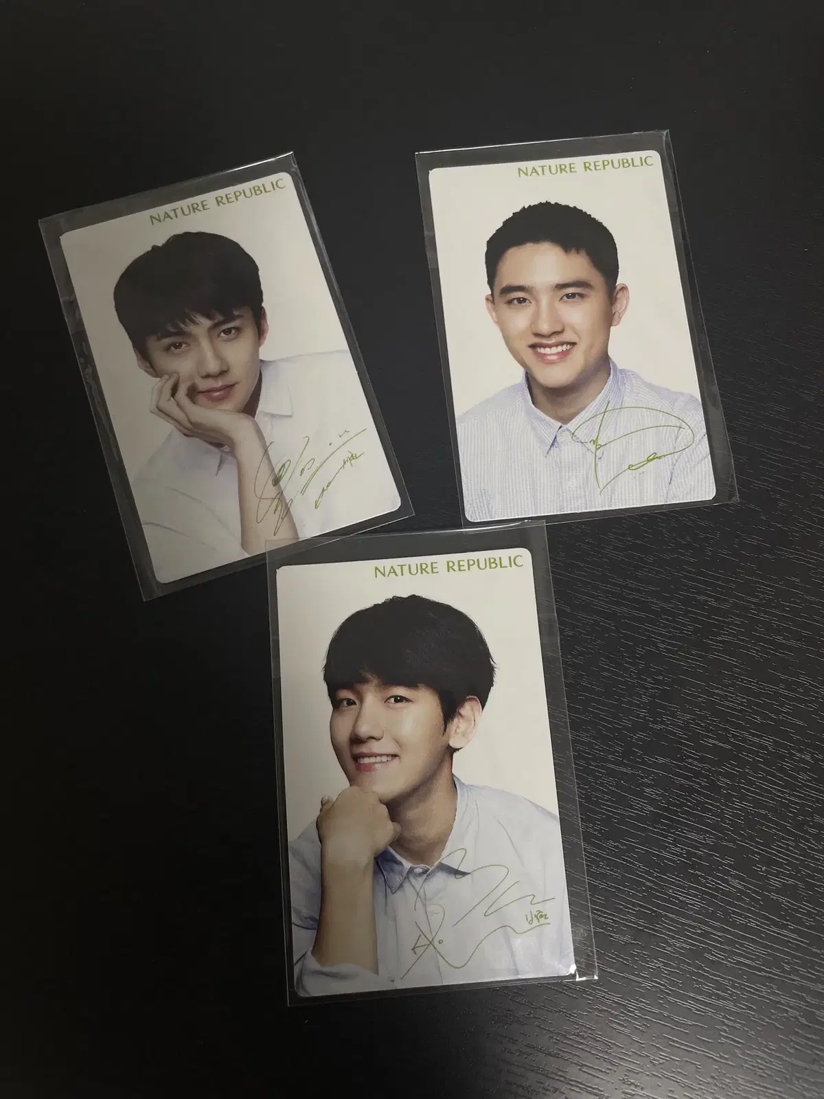 [exo] baekhyun d.o. sehun Nature Public photocard WTS