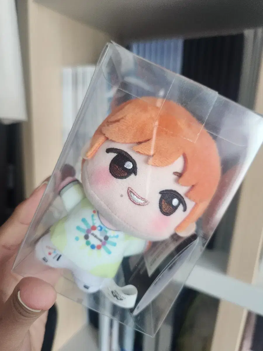 NCT Dream jisung Sells Hellpu plucking dolls