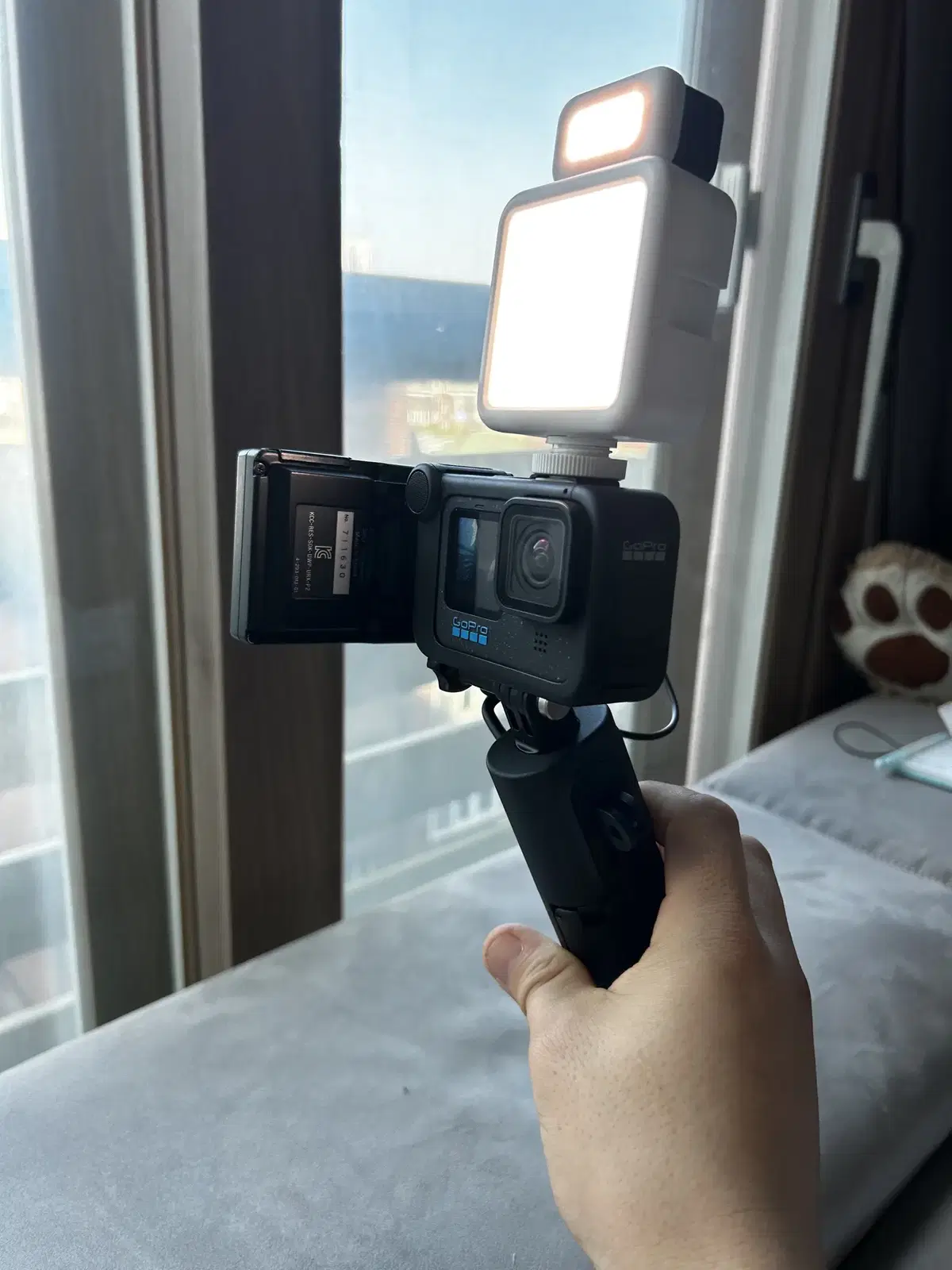 Gopro