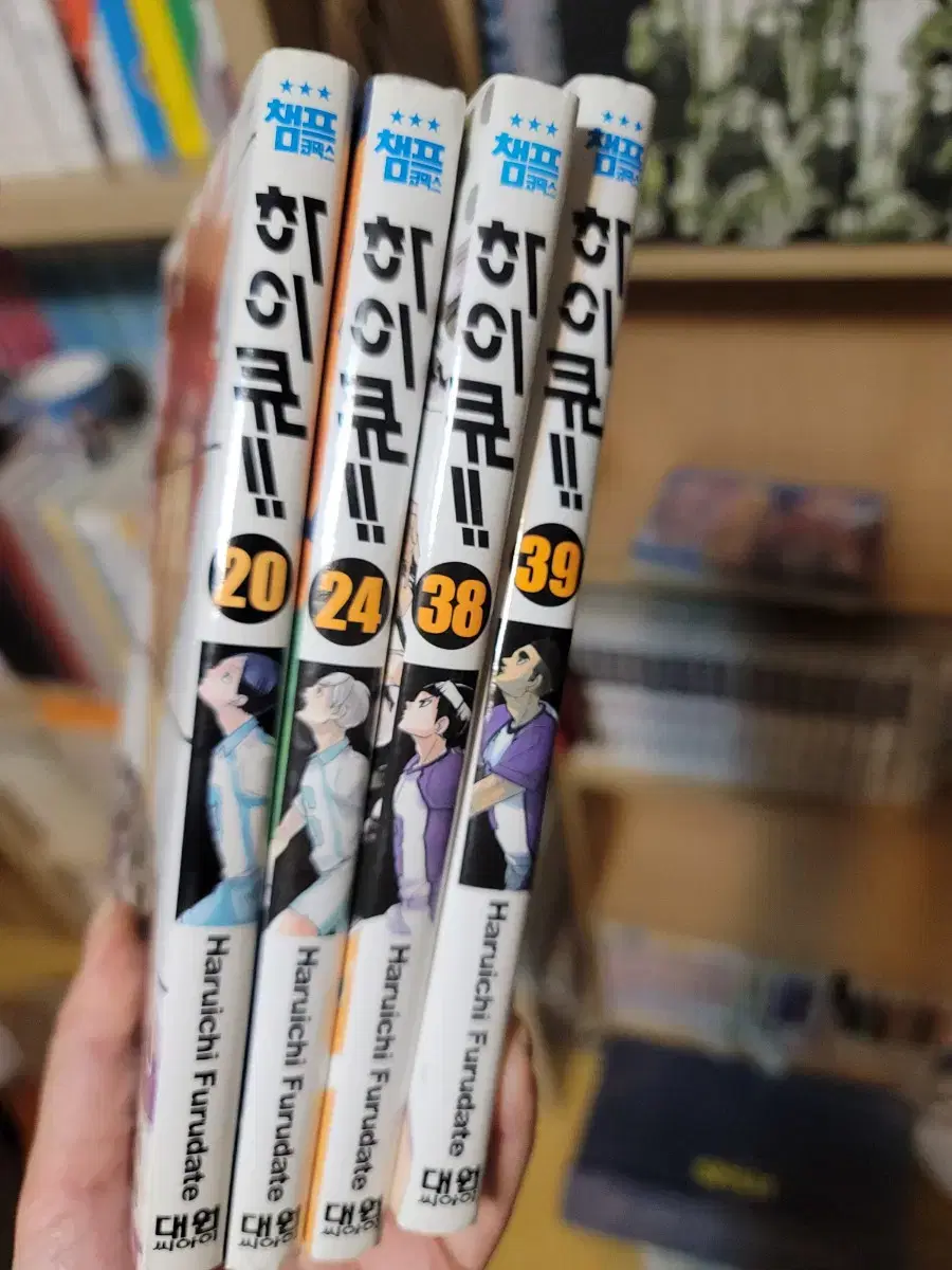 Haikyuu Manga Book