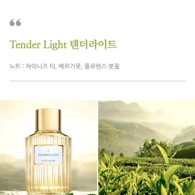 (박스안뜯은새제품) 에스티로더 텐더라이트 향수 100ml