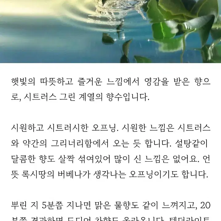 (박스안뜯은새제품) 에스티로더 텐더라이트 향수 100ml