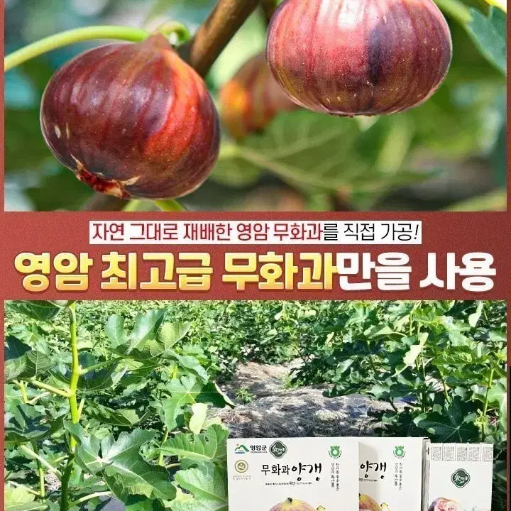 무화과양갱대용량 55g*10개입/총1박스 19,500원