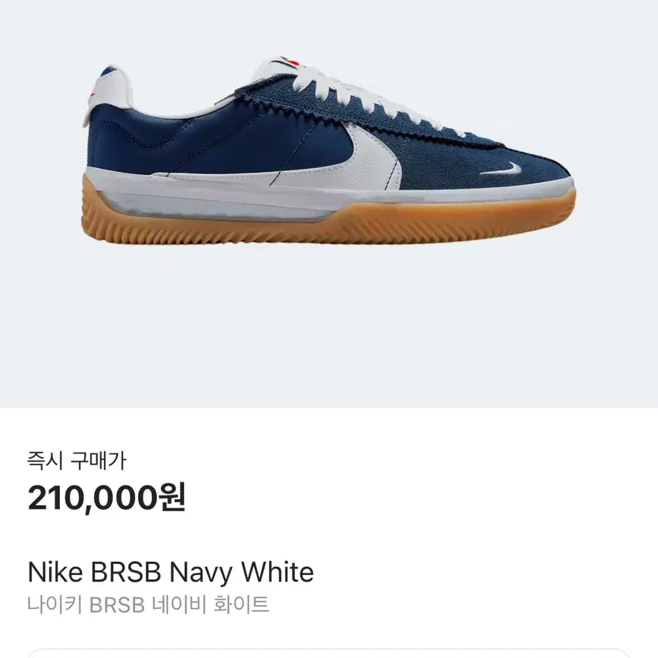 나이키 신발 BRSB DH9227-401 (240/5.5)