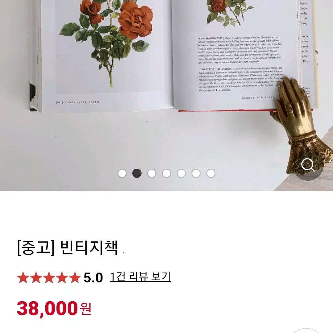 빈티지 로즈 백과사전 플라워 도감 촬영소품