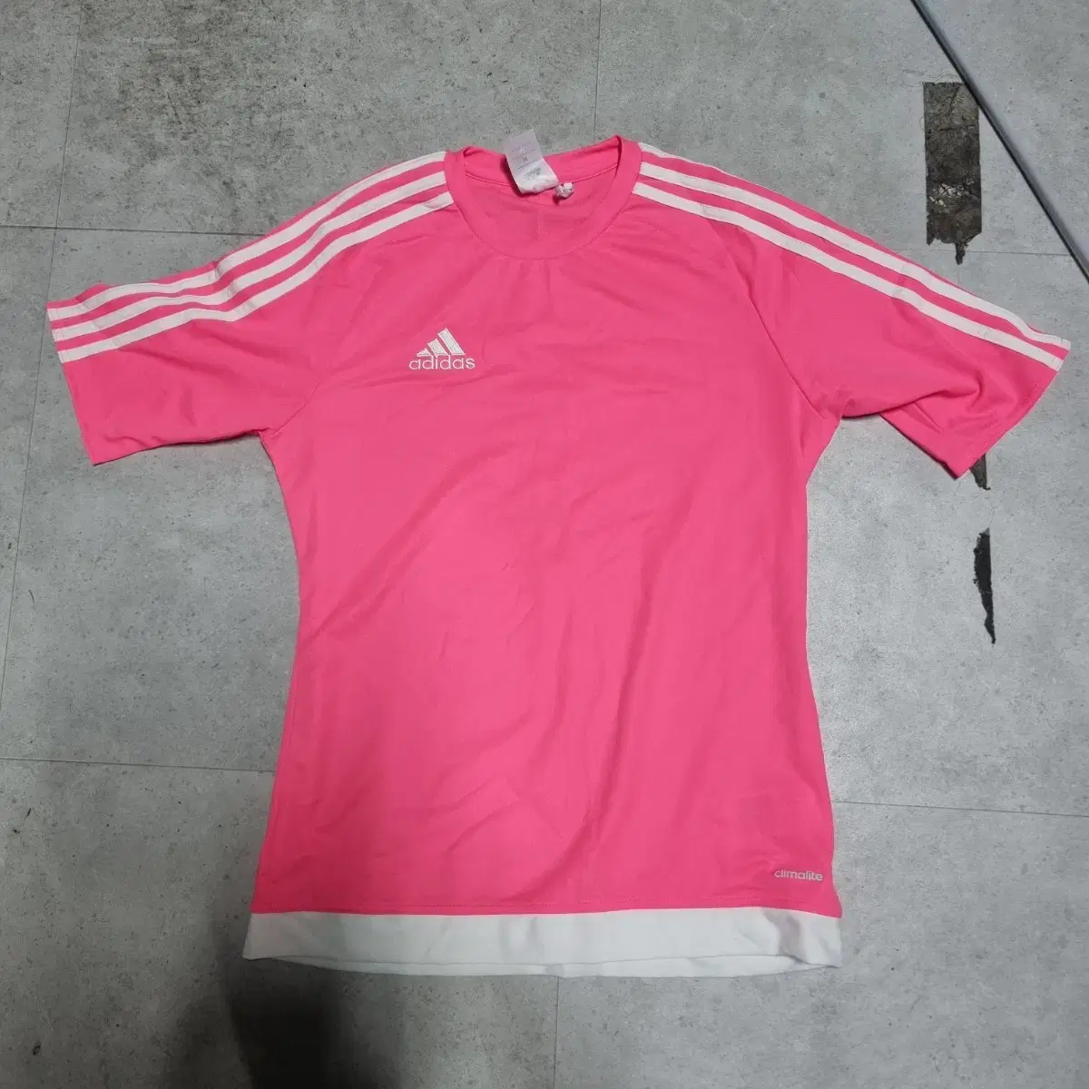 Adidas Hot Pink Vahn Baby Bear Fish Tank STC