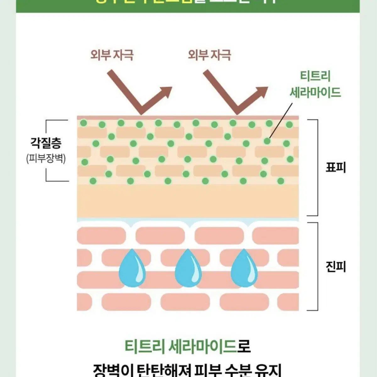 아이소이 모이스춰닥터장수진수분크림 50ml+50ml