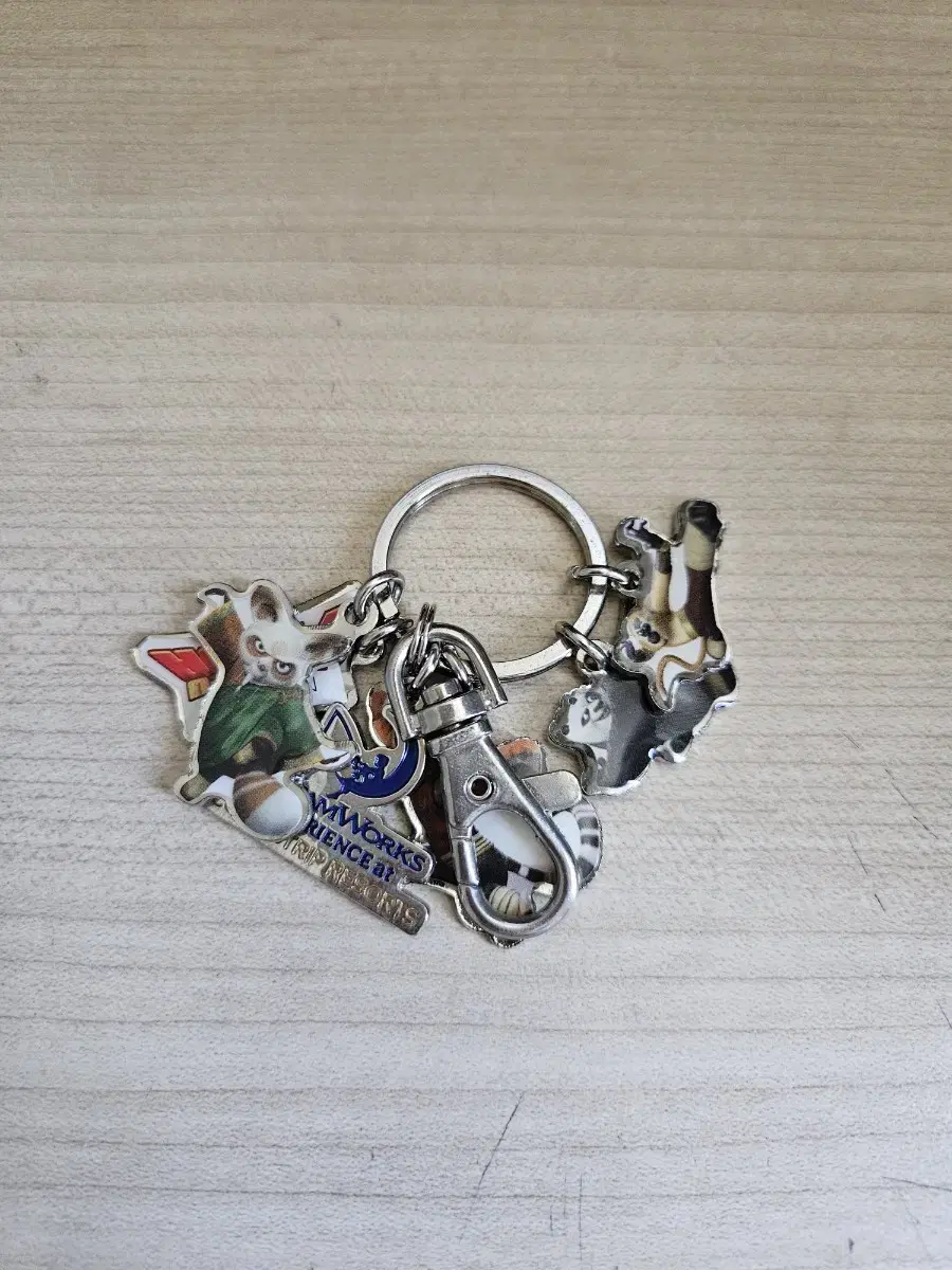 Kung Fu Panda Keyring