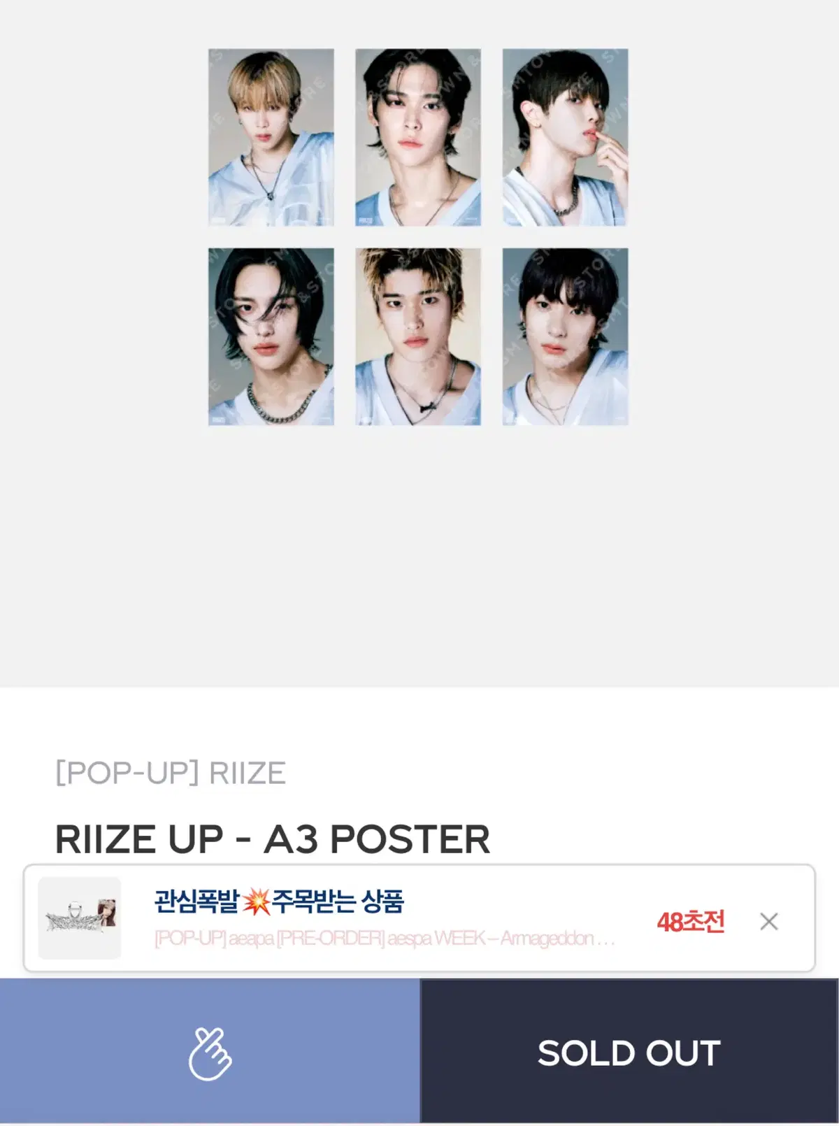 Rize pop up poster A3 Shotaro