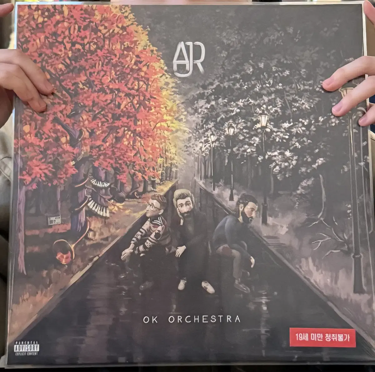 (가격 내림) Ajr lp 블랙반 , Ok orchestra lp, 바이