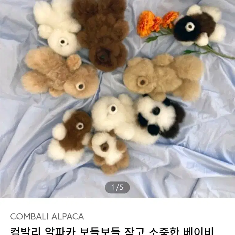 알파카 인형