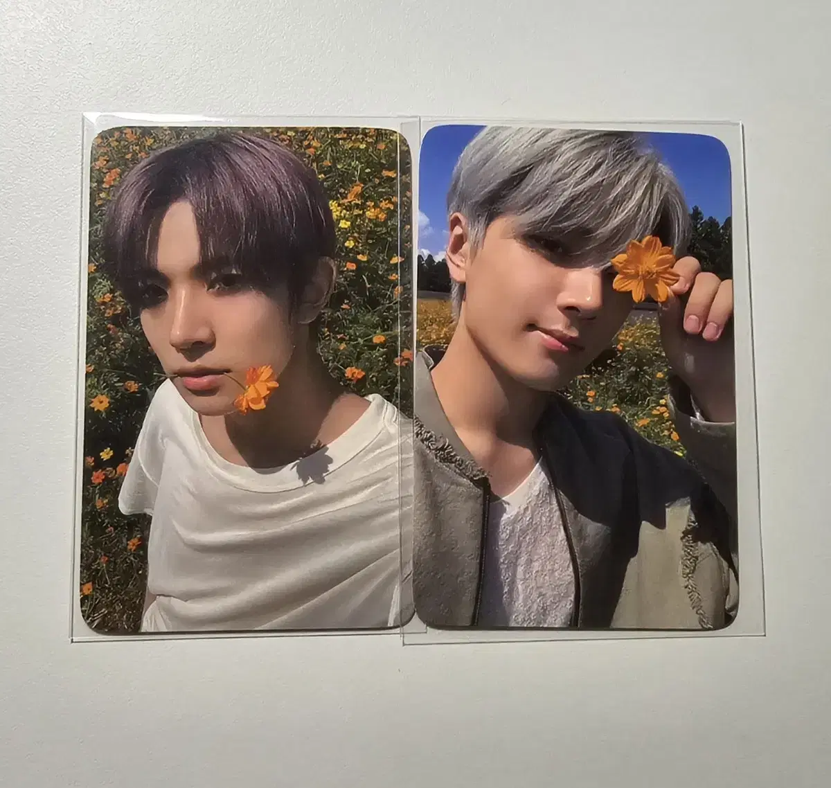 Enhypen EnConnect Night photocard WTS