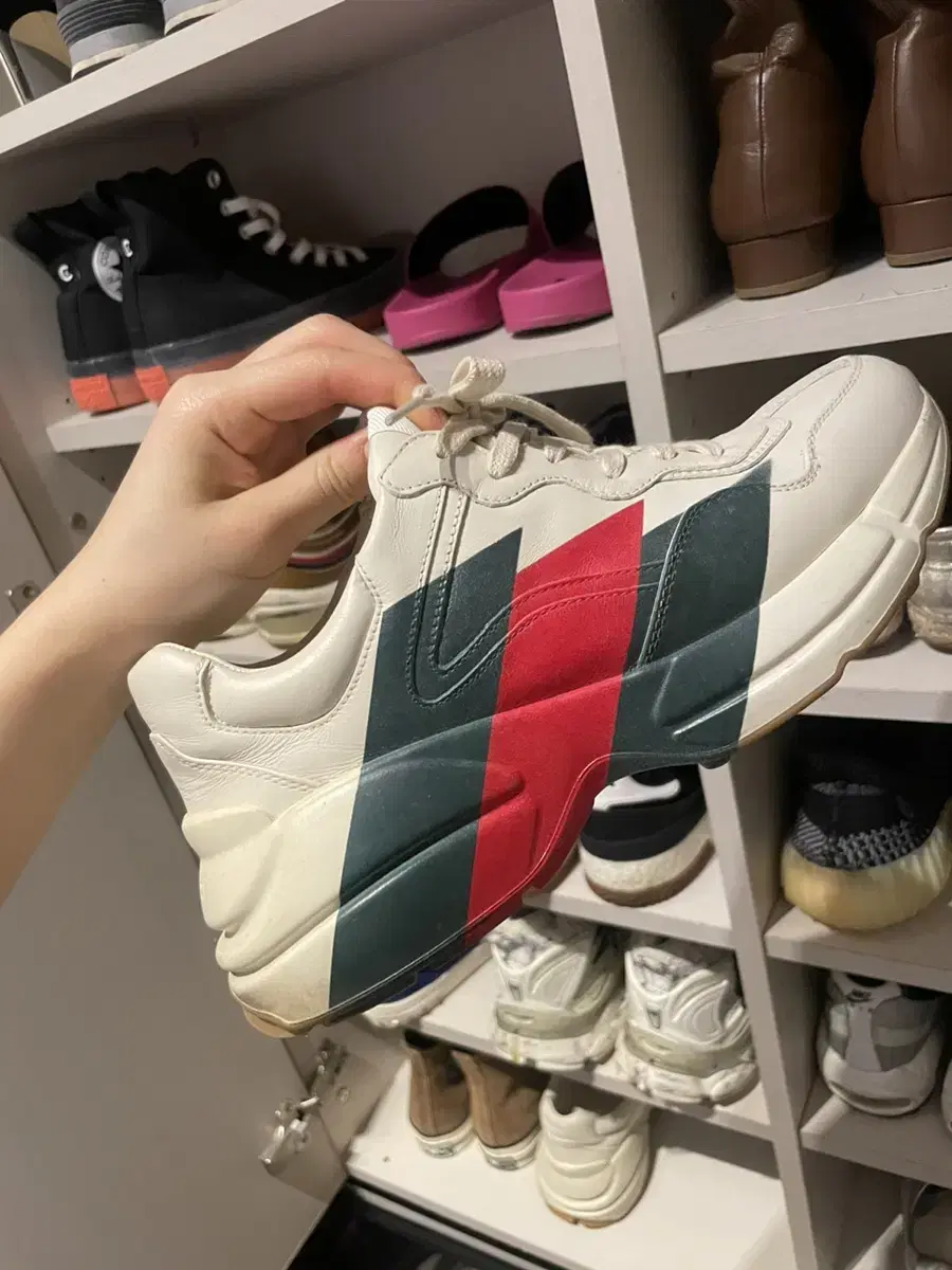 Gucci Raiton sneakers