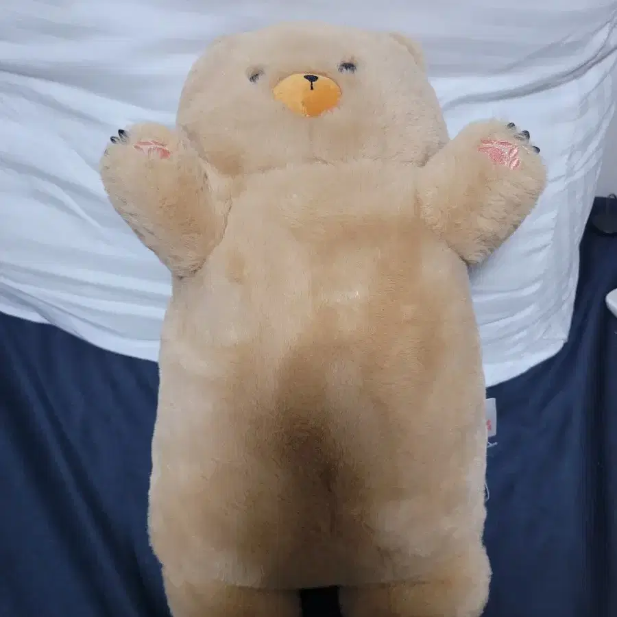 브라운베어 필로우 인형 40cm 팝니다