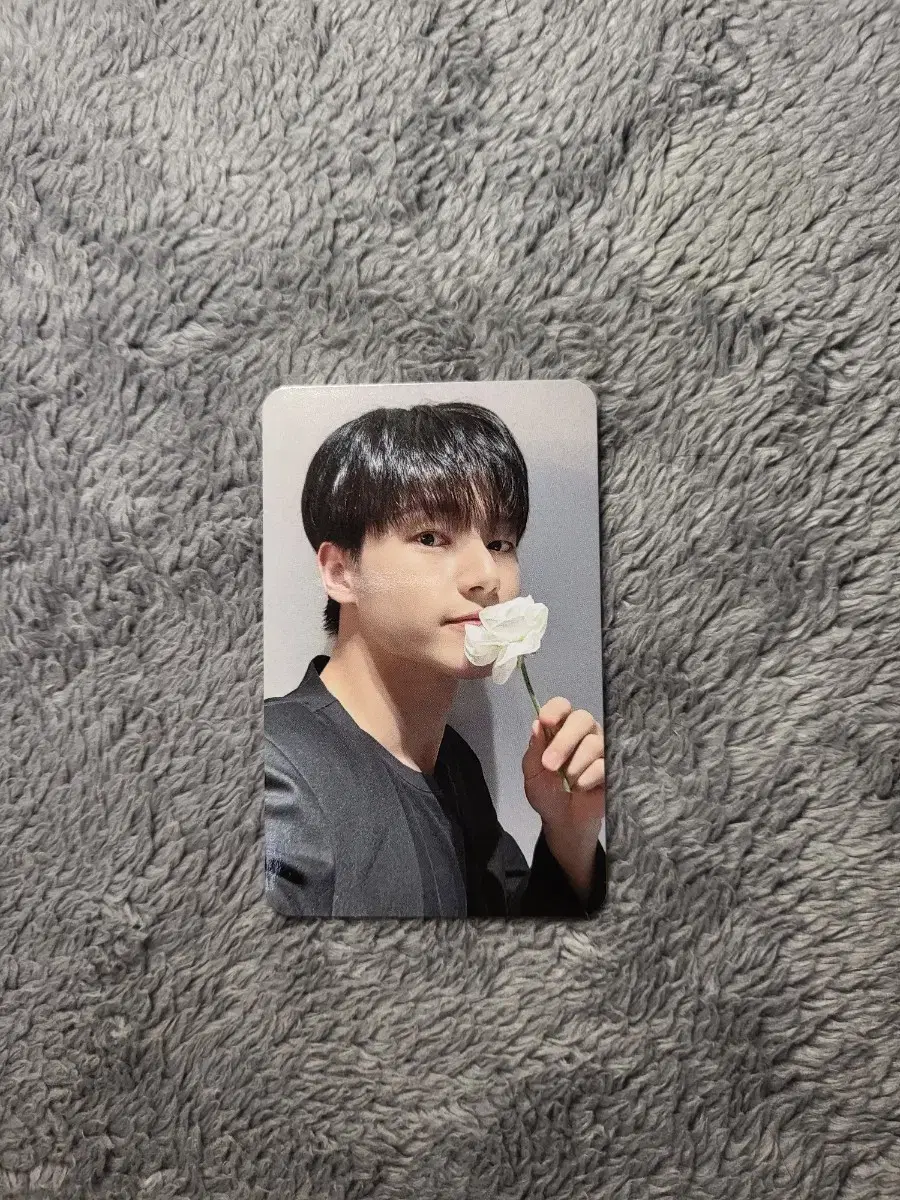 ateez flowertiz wooyoung photocard