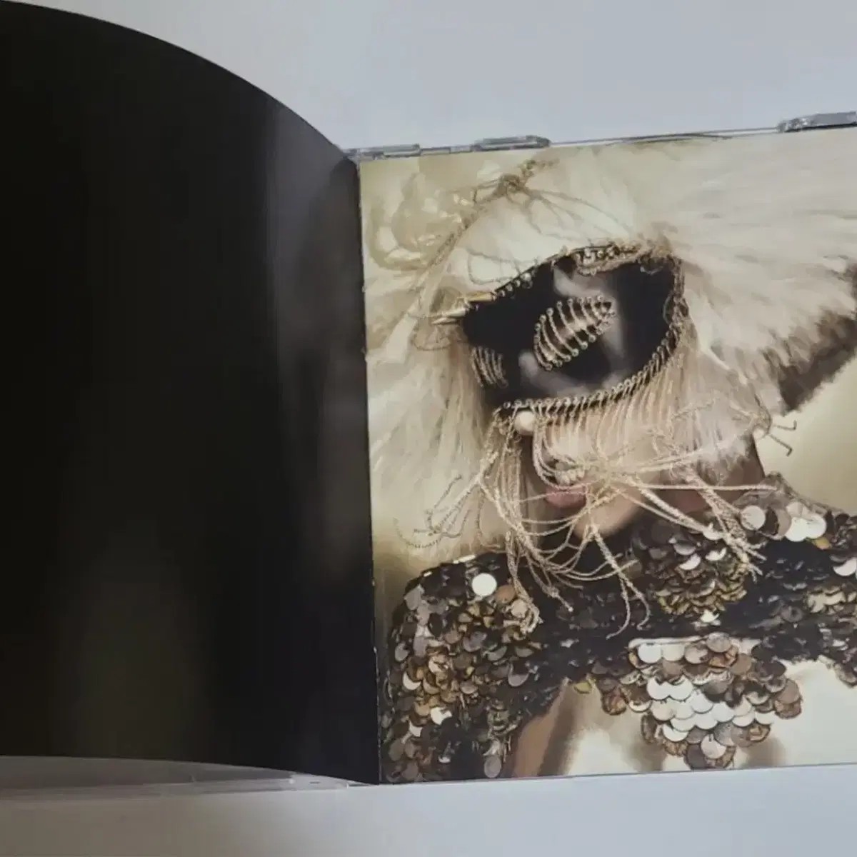 레이디 가가 The Fame Monster 앨범 시디 CD