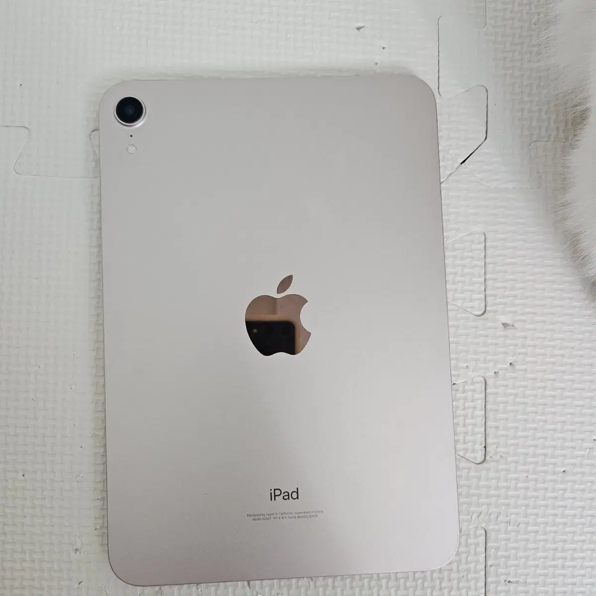 iPadMini6Pink256 WIFI