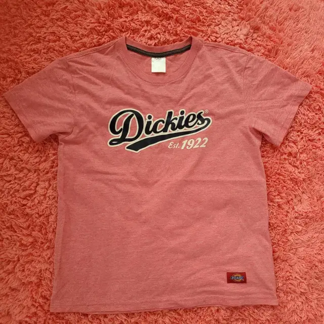 Dickies 정품 남녀주니어 가슴단면46cm컬러이쁨