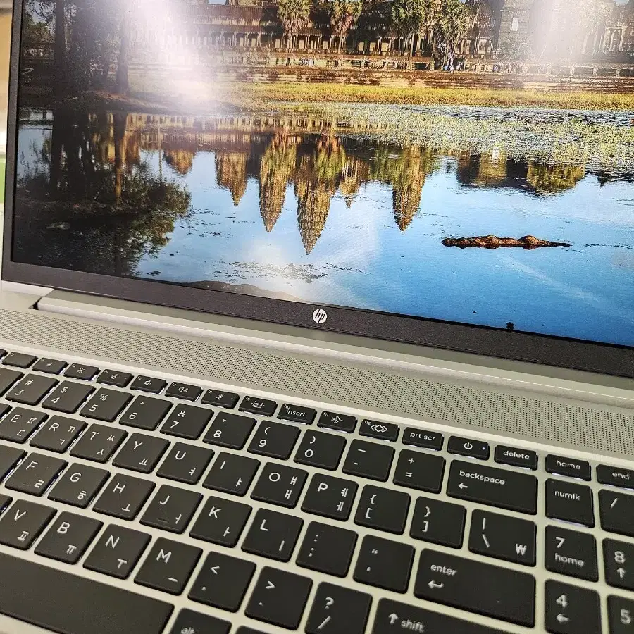 미사용 전시품 HP 프로북 455 G10 80D557PA 윈11 램16