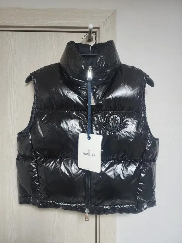 [10월 기간한정 할인] 몽클레어 Blavet Down Vest