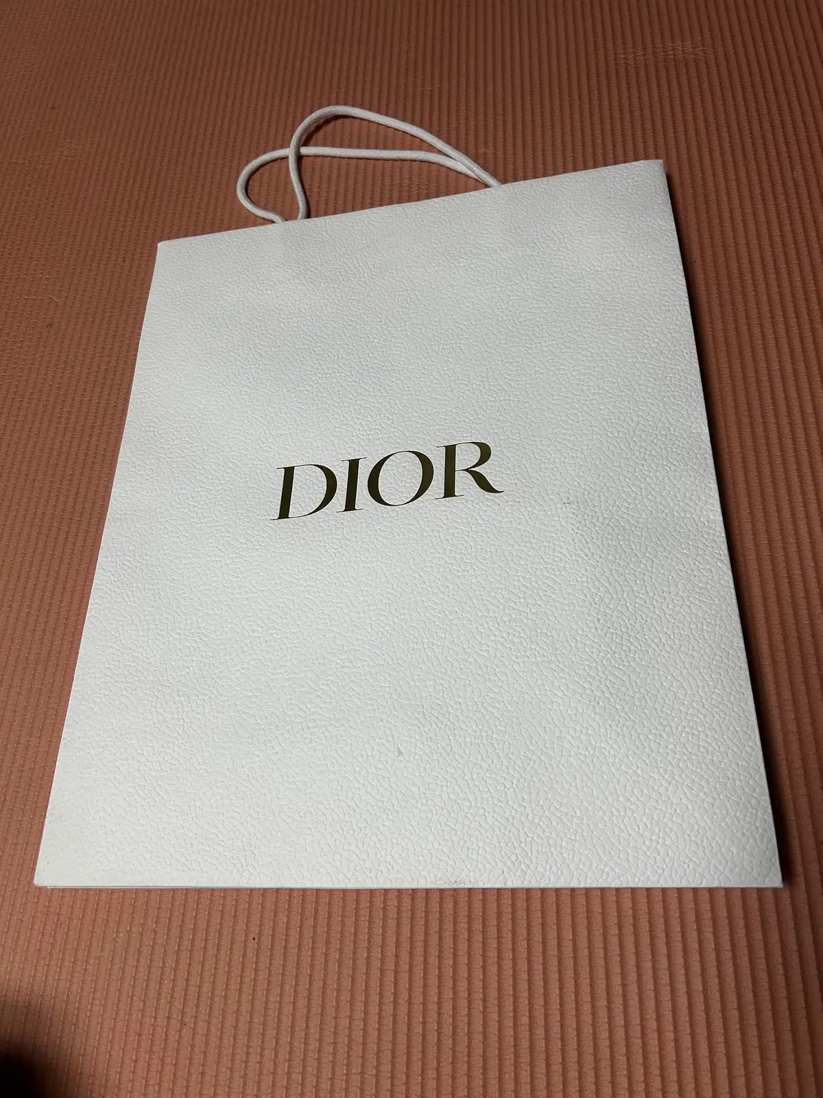 디올 DIOR 쇼핑백 판매합니다.