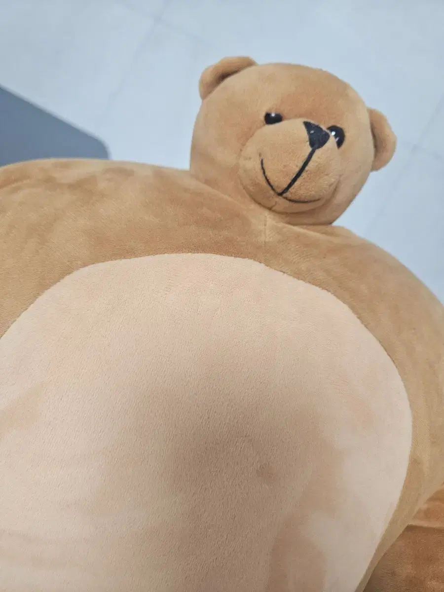 소두곰 47cm