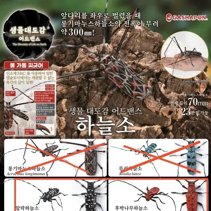 반다이 생물대도감 어드벤스 알락하늘소 미개봉