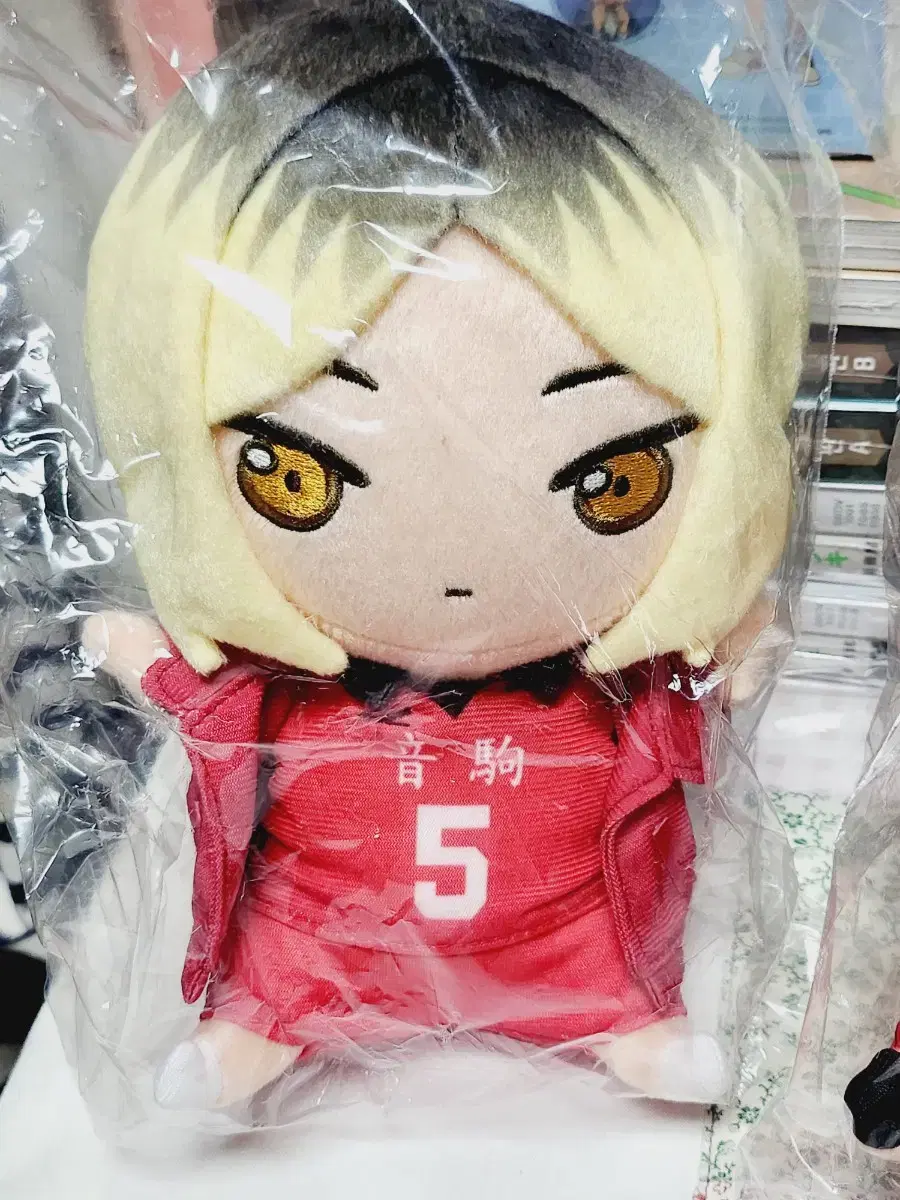 Haikyuu Sol International Chokonto Friends Nuigurumi Nekoma