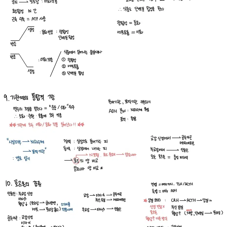 뉴런 수학, 지학, 생명, 언매 필기노트 pdf 전범위