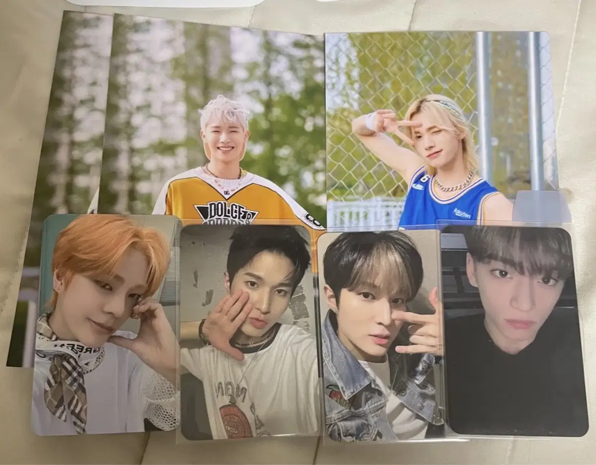 Whov photocard in bulk