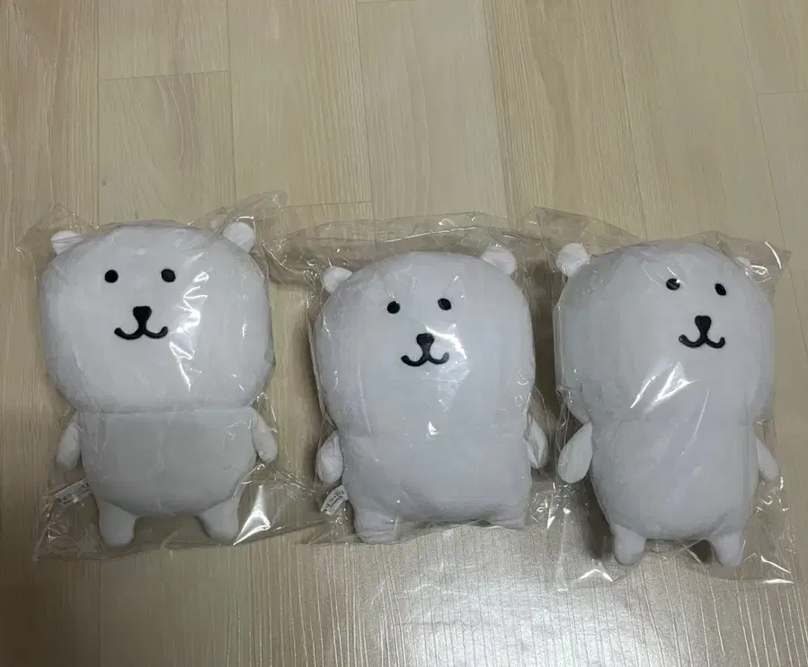 에이노바 지그노 농담곰 누이