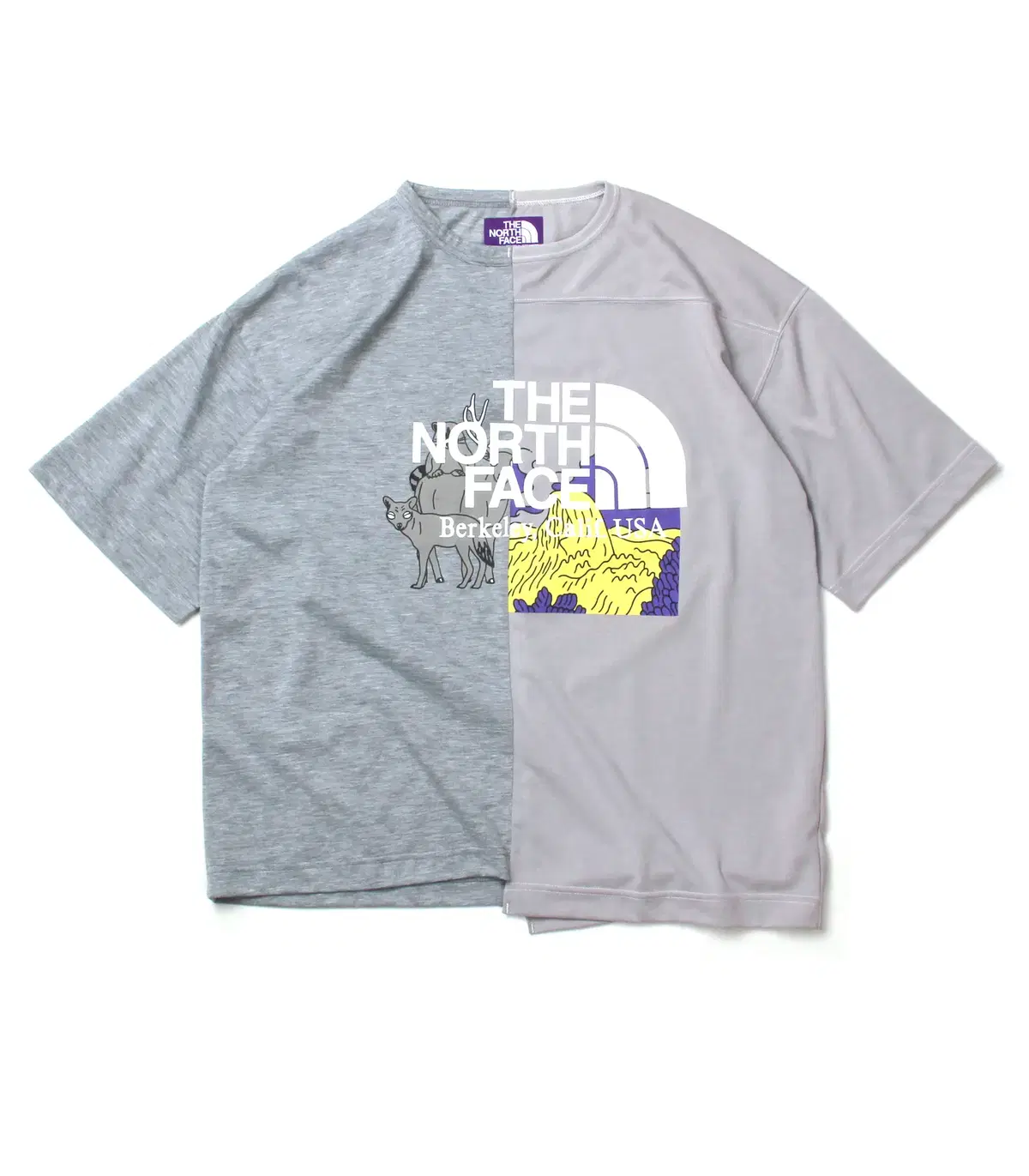 THE NORTH FACE PURPLE LABEL