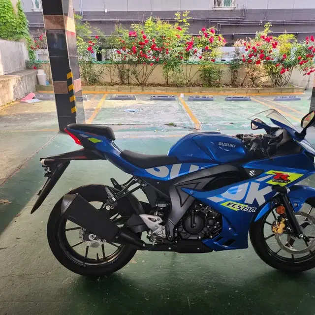 23년식 gsx r 125 팝니다