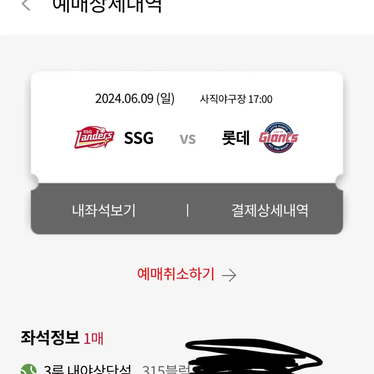 6/9 부산 롯데 자이언츠 카리나 시구