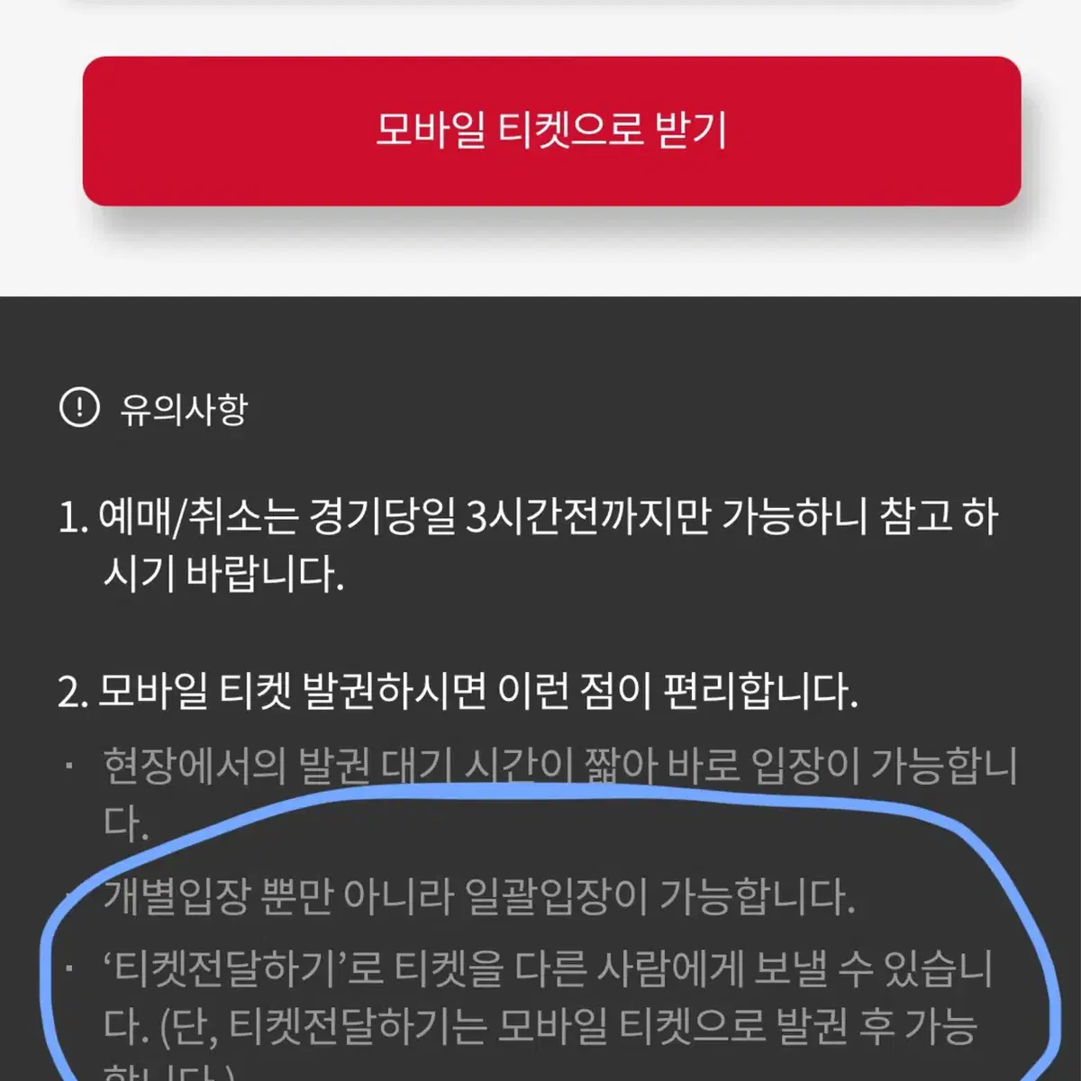 6/9 부산 롯데 자이언츠 카리나 시구