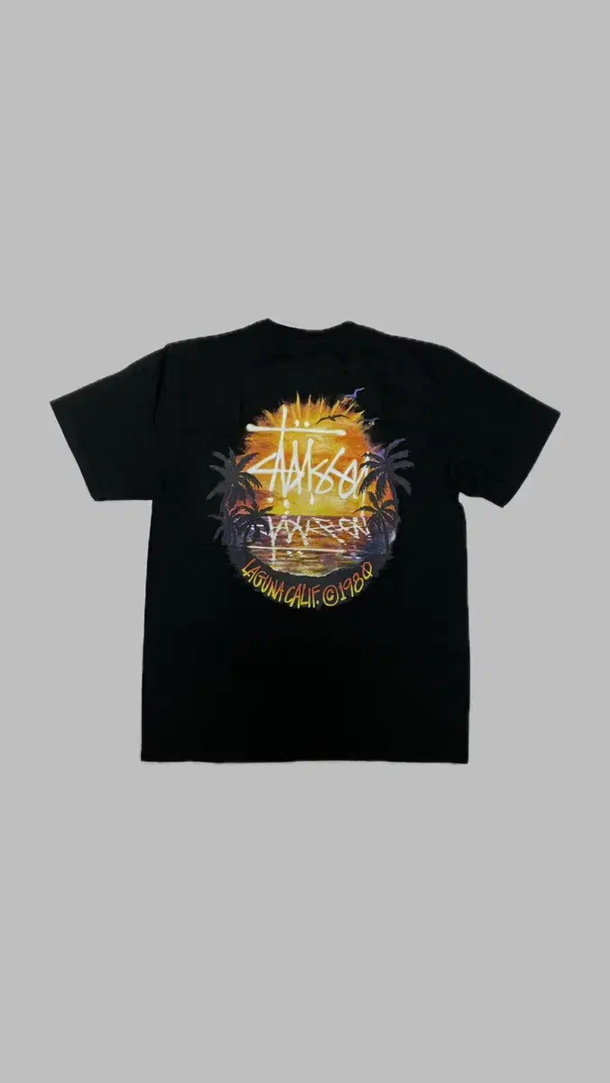 Stussy Sunset Tee M