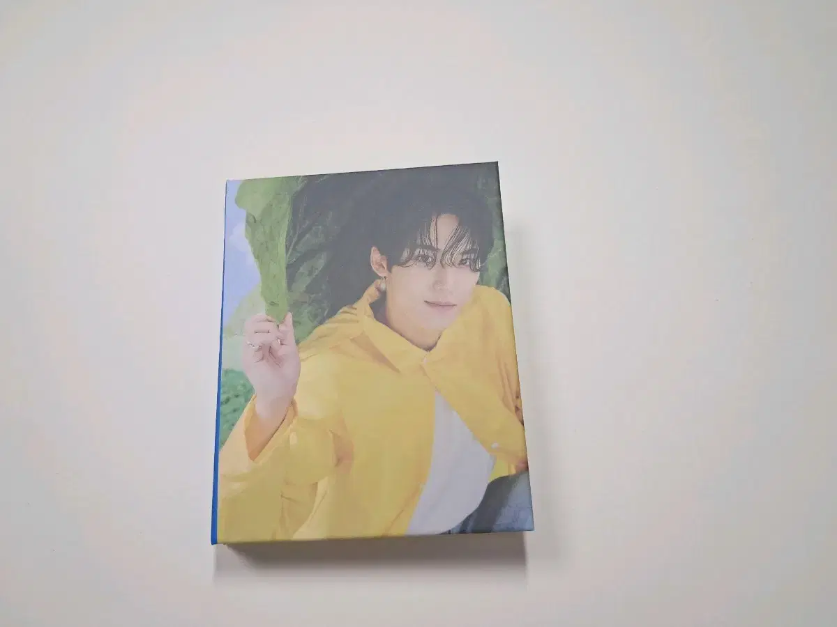 Heaven Carat Vahn mingyu WTS