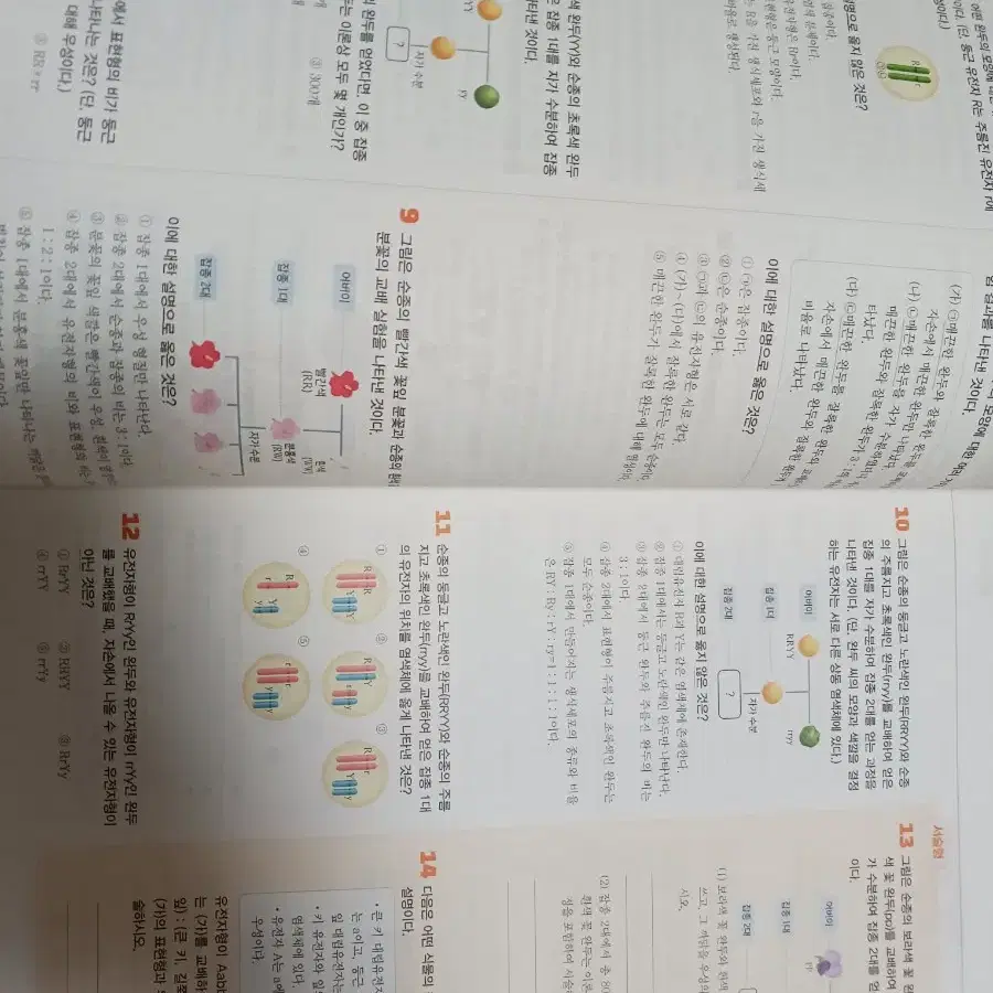 새책) 중3 과학 문제집