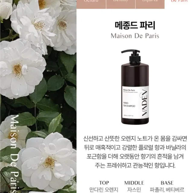 바디브 약산성 비건 비듬 샴푸, 트리트먼트 1000ml 미개봉